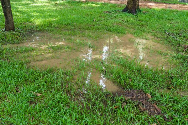 Storm Water Drainage Service in Chester