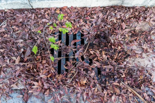 Yard Drain Unclogging in Chester