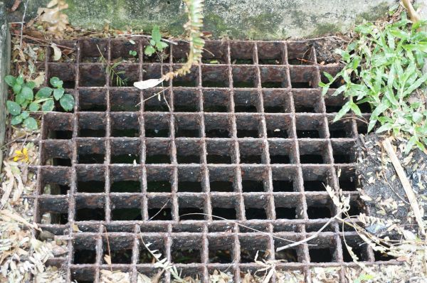 Yard Drain Cleaning in Chester