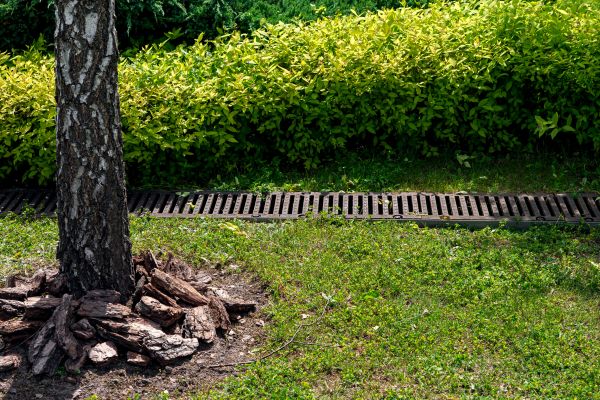 Wet Yard Drainage in Chester