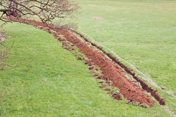 Cost of Swale Installation in Chester