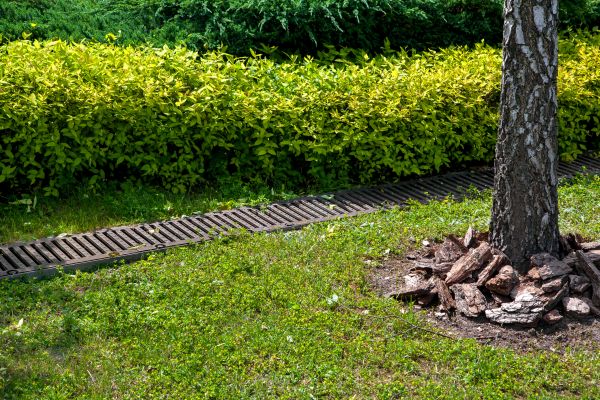 Residential Landscape Drainage in Chester