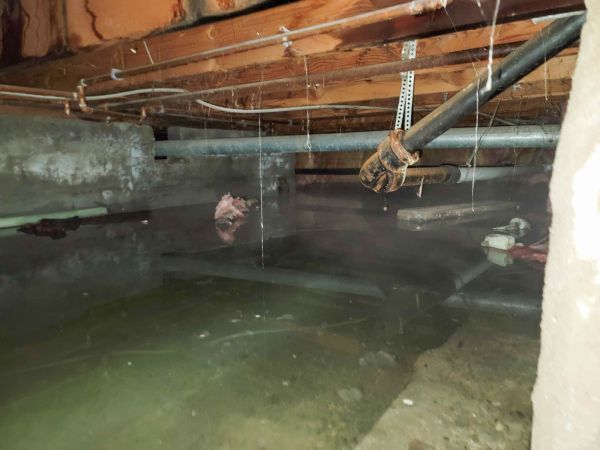 Cost of Crawlspace Drainage in Chester